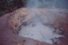rincon hot mud